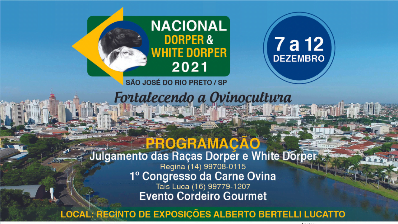 14ª Exposição Nacional Dorper e White Dorper acontece em dezembro em São José do Rio Preto